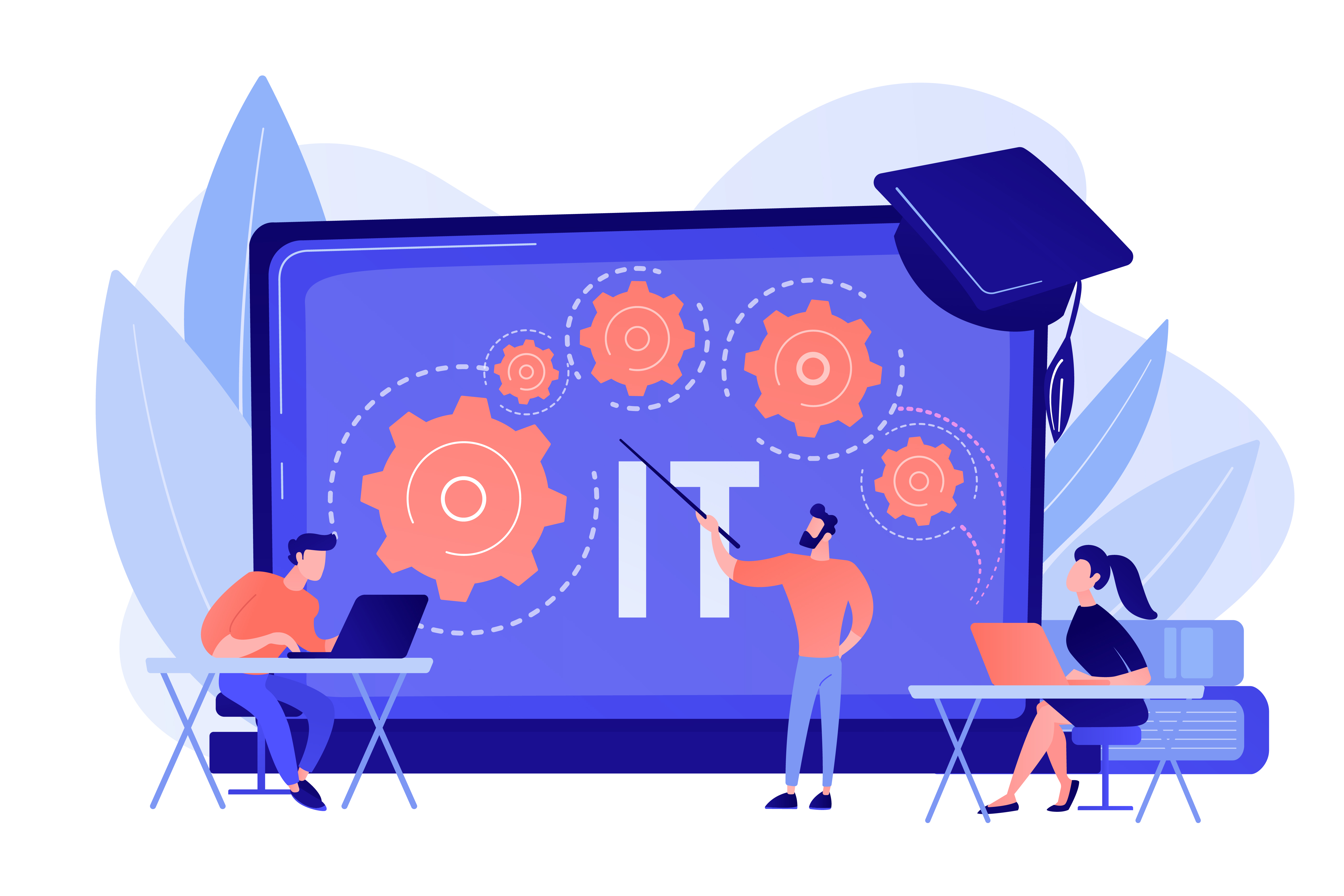 IT education